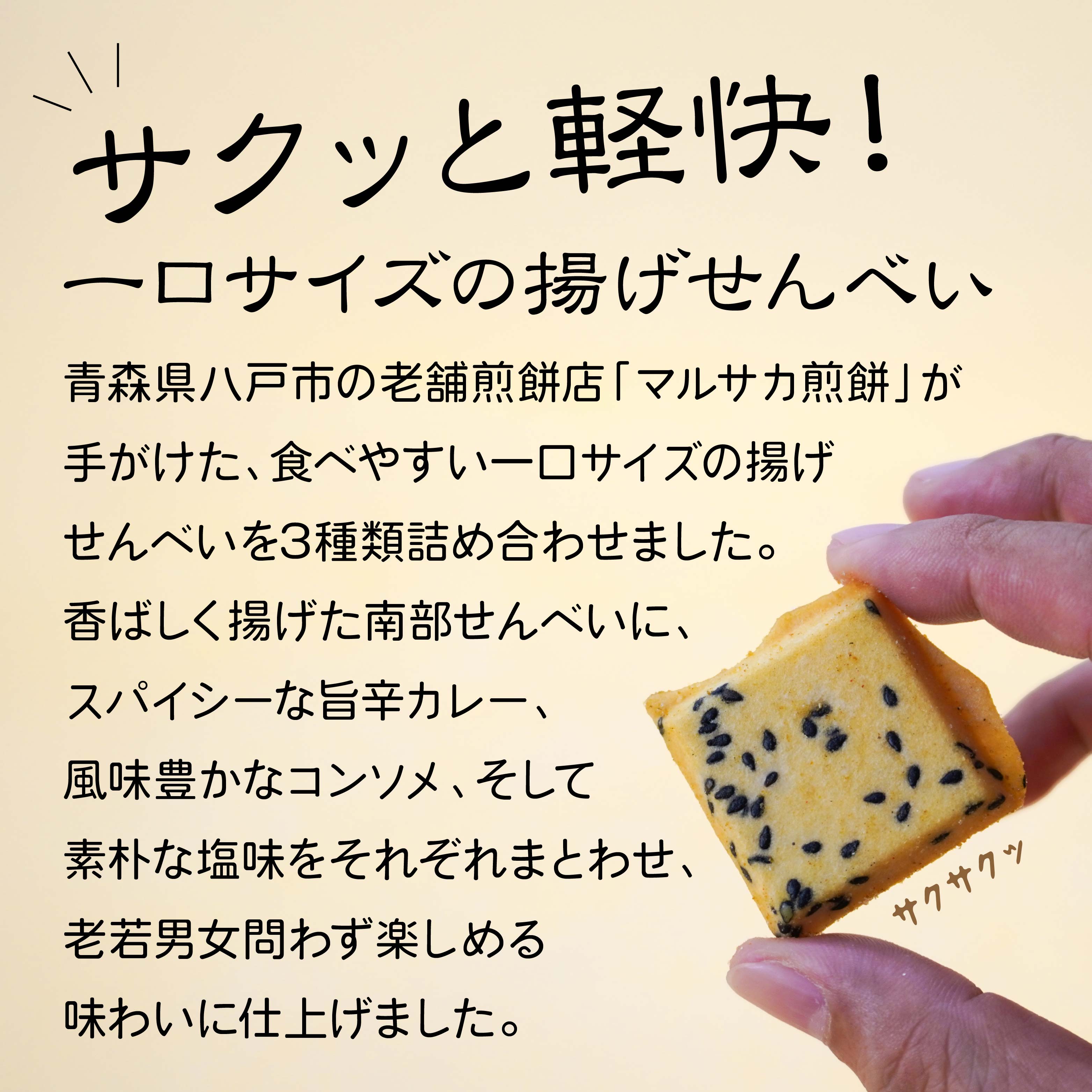 【ふるさと納税】【マルサカ煎餅】 南部煎餅 一口揚せんべい 3種 セット （大辛口カレー風味・コンソメ味・塩味） 青森県 八戸市