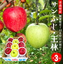 【ふるさと納税】12月中にお届け! 青森県産 サンふじ 王林 りんご 3kg おうりん 林檎 果物 フルーツ セット 詰合せ 年内配送 家庭用 贈答用 送料無料