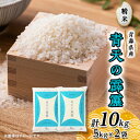 【ふるさと納税】青天の霹靂(5kg×2袋)　合計10kg【1