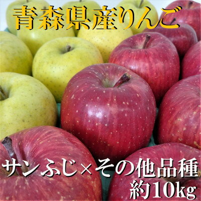 【ふるさと納税】サンふじ×その他品種　約10kg【津軽みらい農業協同組合の青森県産りんご】【1063273】