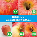 【ふるさと納税】【R7年11月上旬〜発送開始】内容量 約10Kg 訳ありりんご シナノスイート 24〜46個入【配送不可地域:離島・沖縄県】【1333054】