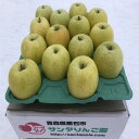 【ふるさと納税】甘い青りんごの定番 青森県産 王林 贈答用 約5キロ 農家直送【1430915】