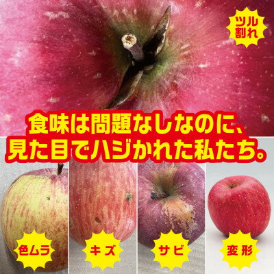 名称 【R6年12月中旬～発送予定】訳あり 青森県産りんご「サンふじ」 約5kg(12～25個) 保存方法 常温 発送時期 2024-12-16～2025-05-15 提供元 黒石りんご共販協同組合 配達外のエリア 離島、沖縄県 お礼品の特...