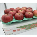 【ふるさと納税】希少品種 大紅栄 訳あり品 5kg(10~16個入)【配送不可地域:離島】【1493957】
