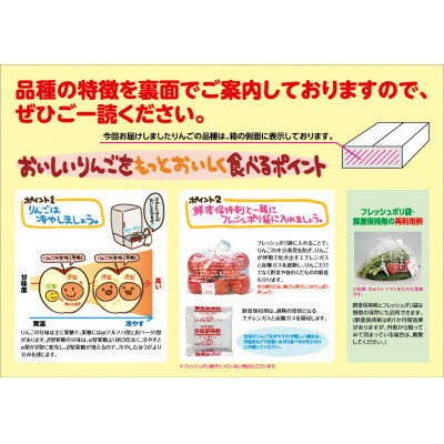 【ふるさと納税】7-J16 市田柿 約700g 化粧箱 干し柿 干柿 秀 24〜28粒 JAみなみ信州