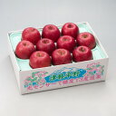 【ふるさと納税】【令和7年産・先行予約】糖度13度選果 サンふじ 約2.5kg 鮮度保持剤・保存用ポリ袋付【配送不可地域:離島・沖縄県】【1508214】(4)