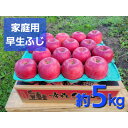 【ふるさと納税】【訳あり】青森県産りんご「早生ふじ 家庭用」約5kg 産地直送!【1517218】