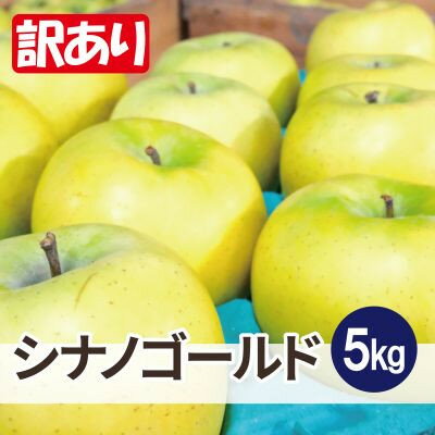 【ふるさと納税】【26年4月より順次発送】平均糖度13度以上! シナノゴールド 約5kg 訳あり クール便【配送不可地域:離島・沖縄県】【1610044】