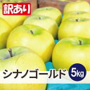 【ふるさと納税】【26年1月より順次発送】平均糖度13度以上! シナノゴールド 約5kg 訳あり【配送不可地域:沖縄県】【1610144】