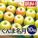 【ふるさと納税】【26年1月より順次発送】平均糖度13度以上! ぐんま名月 約10kg 訳あり【配送不可地域:沖縄県】【1610365】