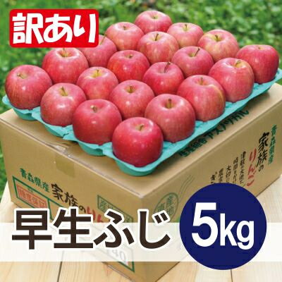 【ふるさと納税】【25年10月より順次発送】平均糖度12度以上! 早生ふじ 約5kg 訳あり【配送不可地域:沖縄県】【1610389】 【ふるさと納税】【25年10月より順次発送】平均糖度12度以上! 早生ふじ 約5kg 訳あり【配送不可地域:沖縄県】【1610389】