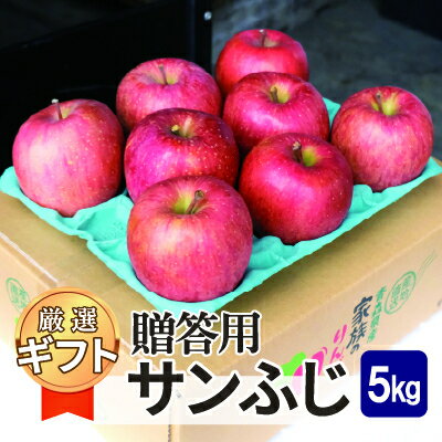 【ふるさと納税】【26年1月より順次発送】平均糖度13度以上! サンふじ 約5kg 贈答【配送不可地域:沖縄県】【1611181】
