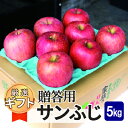 【ふるさと納税】【25年12月より順次発送】平均糖度13度以上! サンふじ 約5kg 贈答【配送不可地域:沖縄県】【1611185】