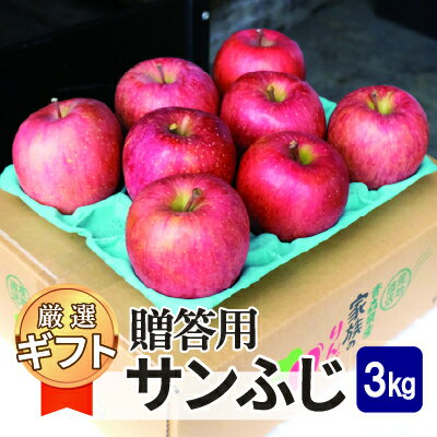 【ふるさと納税】【25年11月より順次発送】平均糖度13度以上! サンふじ 約3kg 贈答【配送不可地域:沖縄県】【1611203】