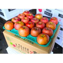 【ふるさと納税】【25年12月より順次発送】平均糖度13度以上! サンふじ 約5kg おもてなし用【配送不可地域:沖縄県】【1611206】(4)