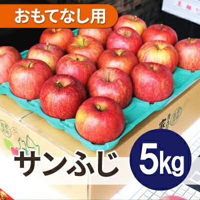 【ふるさと納税】【26年6月より順次発送】平均糖度13度以上! サンふじ 約5kg おもてなし用 クール便【配送不可地域:離島・沖縄県】【1611241】