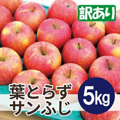 【ふるさと納税】【26年1月より順次発送】平均糖度13度以上! 葉とらずサンふじ 約5kg 訳あり【配送不可地域:沖縄県】【1611283】