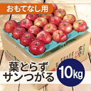 【ふるさと納税】【25年10月より順次発送】平均糖度12度以上! 葉とらずサンつがる 約10kg おもてなし用【配送不可地域:沖縄県】【1611761】