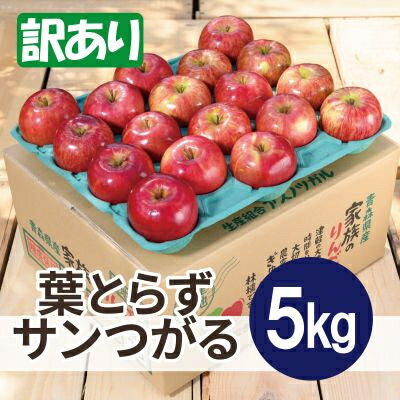 【ふるさと納税】【25年9月より順次発送】平均糖度12度以上! 葉とらずサンつがる 約5kg 訳あり クール便【配送不可地域:離島・沖縄県】【1611766】