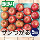 【ふるさと納税】【25年8月より順次発送】平均糖度12度以上! サンつがる 約5kg 訳あり クール便【配送不可地域:離島・沖縄県】【1611778】