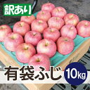 【ふるさと納税】【26年6月出荷予定】平均糖度13度以上! 有袋ふじ 約10kg 訳あり CA貯蔵 クール便【配送不可地域:離島・沖縄県】【1613254】