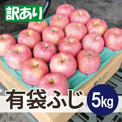 【ふるさと納税】【26年5月出荷予定】平均糖度13度以上! 有袋ふじ 約5kg 訳あり CA貯蔵 クール便【配送不可地域:離島・沖縄県】【1613259】