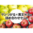 【ふるさと納税】【25年9月より順次発送】糖度13度以上保証! 黄王×サンつがる 約3kg 訳あり クール便【配送不可地域:離島・沖縄県】【1613845】
