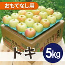 【ふるさと納税】【25年10月出荷】平均糖度12度以上! トキ 約5kg おもてなし用【配送不可地域:離島・沖縄県】【1626511】