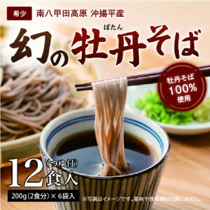 【ふるさと納税】青森県黒石市南八甲田高原・沖揚平産 牡丹そば(12食入)【1643511】