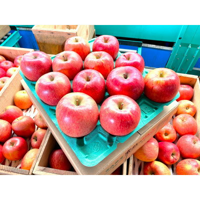 [2025年12月発送予定]平均糖度13度以上! おもてなし用葉とらずサンふじ 約3kg[配送不可地域:離島・沖縄県]