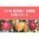 【ふるさと納税】【発送月固定定期便】〈2025年10月より順次発送〉甘味系・青森県産りんご約5kg 全3回【配送不可地域:離島・沖縄県】【4051694】
