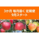 【ふるさと納税】【発送月固定定期便】〈2025年9月より順次発送〉青森県産りんご約3kg全3回【配送不可地域:離島・沖縄県】【4068077】