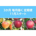 【ふるさと納税】【発送月固定定期便】〈2025年11月より順次発送〉甘味系・青森県産りんご約3kg全3回【配送不可地域:離島・沖縄県】【4068085】
