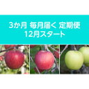 【ふるさと納税】【発送月固定定期便】〈2025年12月より順次発送〉甘味系・青森県産りんご約3kg全3回【配送不可地域:離島・沖縄県】【4068087】