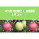 【ふるさと納税】【発送月固定定期便】〈2026年1月より順次発送〉甘味系・青森りんご約3kg全3回【配送不可地域:離島・沖縄県】【4068094】