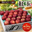 【ふるさと納税】【ご自宅用 紅玉 令和7年9月下旬〜発送】約5k(18〜30個入)黒昇会DB箱入 特殊な光センサ選果_ りんご 紅玉 林檎 リンゴ 青森県 光セ...