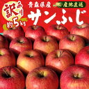 【ふるさと納税】【訳あり】青森県産りんご「サンふじ家庭用」約5kg 産地直送!【1517224】