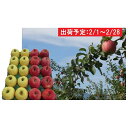 【ふるさと納税】2月 贈答用 津軽のおまかせりんご約5kg ...