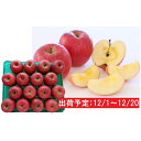【ふるさと納税】年内 津軽産 蜜入りサンふじ約5kg 【果物...