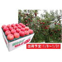 【ふるさと納税】1月 津軽産 家庭用葉取らずサンふじ約10k...