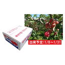 【ふるさと納税】1月 津軽産 家庭用サンふじ約10kg 【果...