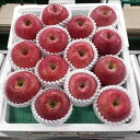 【ふるさと納税】津軽産有袋ふじ、夏のCA貯蔵有袋ふじ特選大玉...