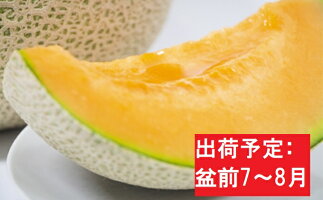 ふるさと納税 先行予約 フルーツ 果物 赤肉4 6玉 盆前発送 メロン 5kg程度 赤肉4 6玉 5kg程度 津軽産 果物類 フルーツ メロン赤肉 お届け 21年7月25日 21年8月10日 青森県五所川原市 青森県五所川原市 ふるさと納税 先行予約 フルーツ 果物 赤肉4 6玉 盆前発送 メロン 5kg程度 赤肉4 6玉 5kg程度 津軽産 果物類 フルーツ メロン赤肉 お届け 21年7月25日 21年8月10日 青森県五所川原市 青森県五所川原市