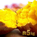 【ふるさと納税】五所川原市産 安納芋約5kg 【野菜・サツ...