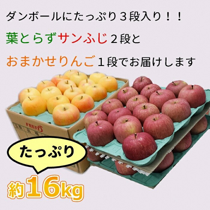 【年内】サンふじ葉とらず林檎&おまかせ1品種約16kg(計2品種)