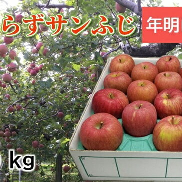 【ふるさと納税】りんご 青森産 約5kg サンふじ 葉とらず 【2021年1月から順次発送】 【果物類・林檎・りんご・リンゴ】 お届け:2021年1月5日〜2021年3月31日