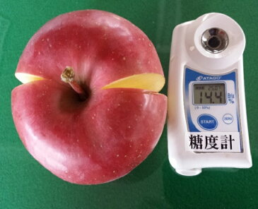 【ふるさと納税】五所川原金山地区太田農園早生ふじ約5kg 【果物類・林檎・りんご・リンゴ】 お届け:2020年10月5日〜2020年10月30日