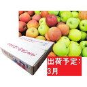 【ふるさと納税】3月 訳あり 青森のおまかせりんご約5kg ...