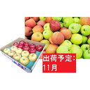 【ふるさと納税】11月 贈答用 青森のおまかせりんご約5kg...