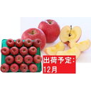 【ふるさと納税】12月 青森りんご 蜜入りサンふじ約5kg ...